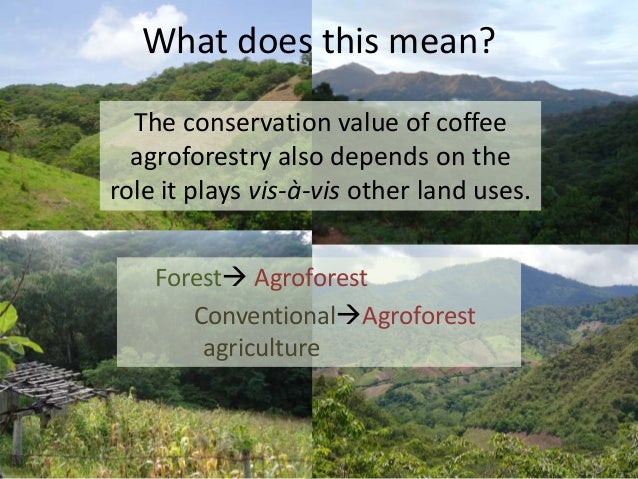 coffee economics the role of coffee Track the path of coffee from farm to store shelf target grade levels: grades 7-12 themes: economics, consumerism, agriculture. coffee economics the role of coffee Track the path of coffee from farm to store shelf target grade levels: grades 7-12 themes: economics, consumerism, agriculture.