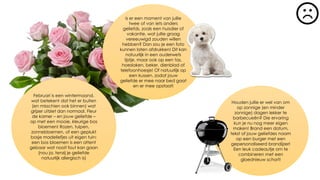 Februari is een wintermaand,
wat betekent dat het er buiten
(en misschien ook binnen) wat
grijzer uitziet dan normaal. Fleur
de kamer – en jouw geliefde –
op met een mooie, kleurige bos
bloemen! Rozen, tulpen,
zonnebloemen, of een geplukt
bosje madeliefjes uit eigen tuin:
een bos bloemen is een attent
gebaar wat nooit fout kan gaan
(nou ja, tenzij je geliefde
natuurlijk allergisch is)
Is er een moment van jullie
twee of van iets anders
geliefds, zoals een huisdier of
vakantie, wat jullie graag
vereeuwigd zouden willen
hebben? Dan zou je een foto
kunnen laten afdrukken! Dit kan
natuurlijk in een ouderwets
lijstje, maar ook op een tas,
hoeslaken, beker, dienblad of
telefoonhoesje! Of natuurlijk op
een kussen, zodat jouw
geliefde er mee naar bed gaat
en er mee opstaat!
Houden jullie er wel van om
op zonnige (en minder
zonnige) dagen lekker te
barbecueën? Die ervaring
kun je nu nog meer eigen
maken! Brand een datum,
tekst of jouw geliefdes naam
op een burger met een
gepersonaliseerd brandijzer!
Een leuk cadeautje om te
combineren met een
gloednieuw schort!
 