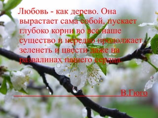 Любовь - как дерево. Она вырастает сама собой, пускает глубоко корни во все наше существо и нередко продолжает зеленеть и цвести даже на развалинах нашего сердца.  В.Гюго 