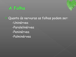    Quanto ás nervuras as folhas podem ser:
      -Uninérvea
      -Paralelinérvea
      -Peninérvea
      -Palminérvea
 