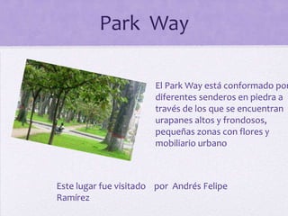 Park Way

El Park Way está conformado por
diferentes senderos en piedra a
través de los que se encuentran
urapanes altos y frondosos,
pequeñas zonas con flores y
mobiliario urbano

Este lugar fue visitado por Andrés Felipe
Ramírez

 
