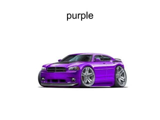 purple
 