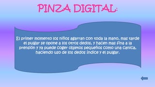 PINZA DIGITAL:
El primer momento los niños agarran con toda la mano, mas tarde
el pulgar se opone a los otros dedos, y hacen mas fina a la
prensión y ya puede coger objetos pequeños como una canica,
haciendo uso de los dedos índice y el pulgar.
 