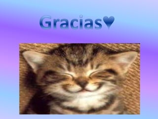 Valentina moncada 6 2