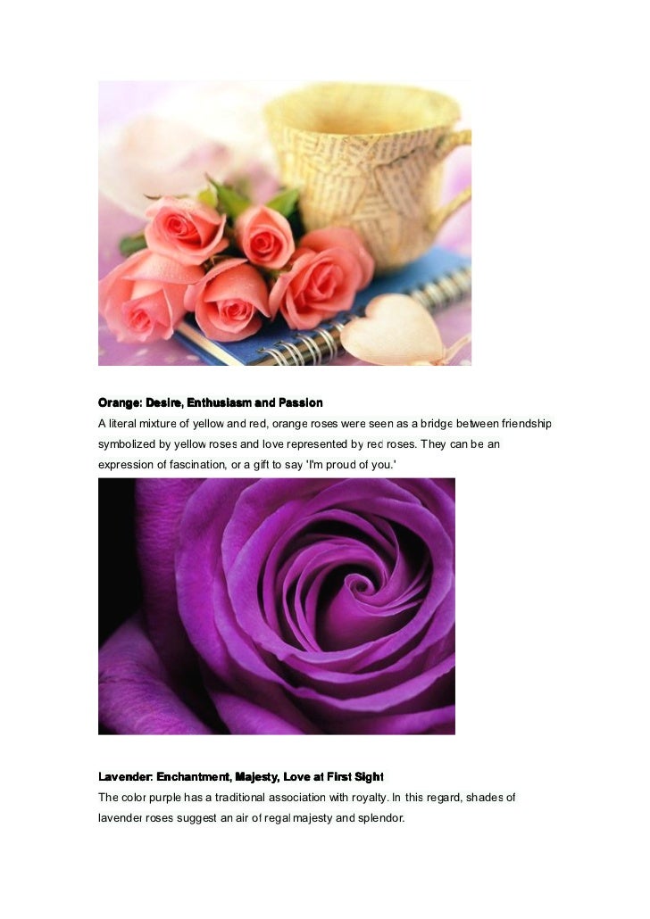 Valentine's day roses color the meaning
