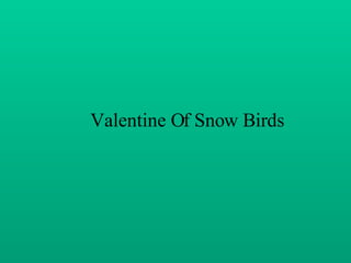 Valentine Of Snow Birds 
