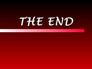 THE END 