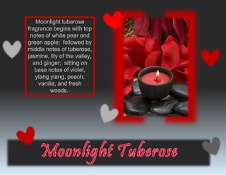 Moonlight tuberose
fragrance begins with top
notes of white pear and
green apple; followed by
middle notes of tuberose,
jasmine, lily of the valley,
and ginger; sitting on
base notes of violet,
ylang ylang, peach,
vanilla, and fresh
woods.
 