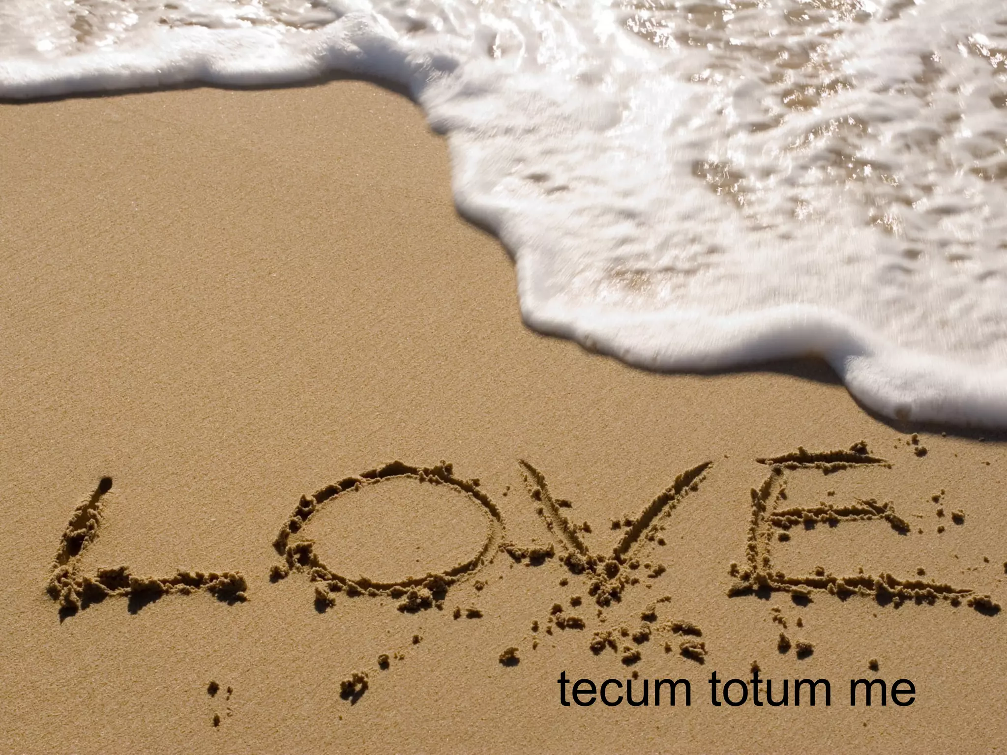 tecum totum me
 
