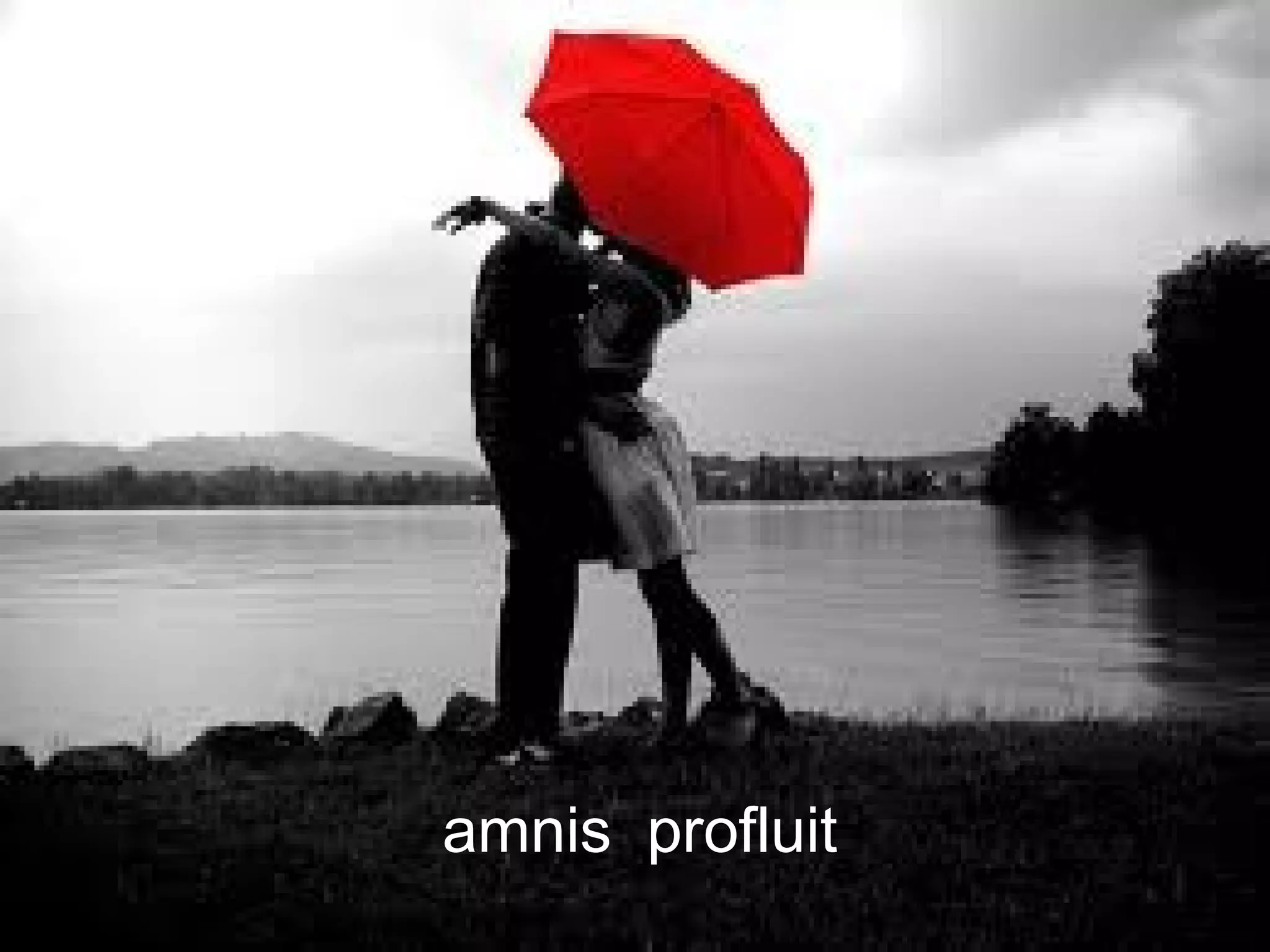 amnis profluit
 