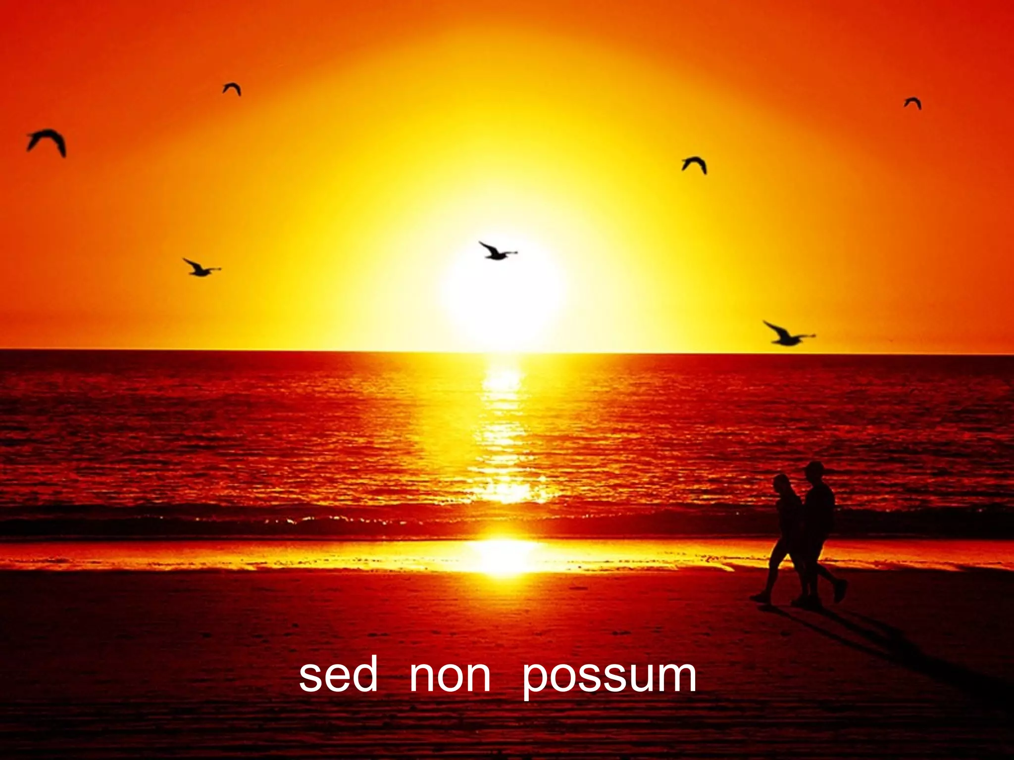 sed non possum
 