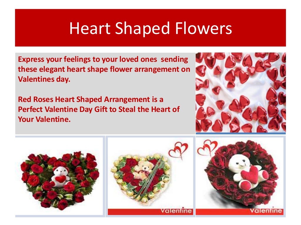 Succulent & cactus set b (4) Buy Valentines Day Gifts Online