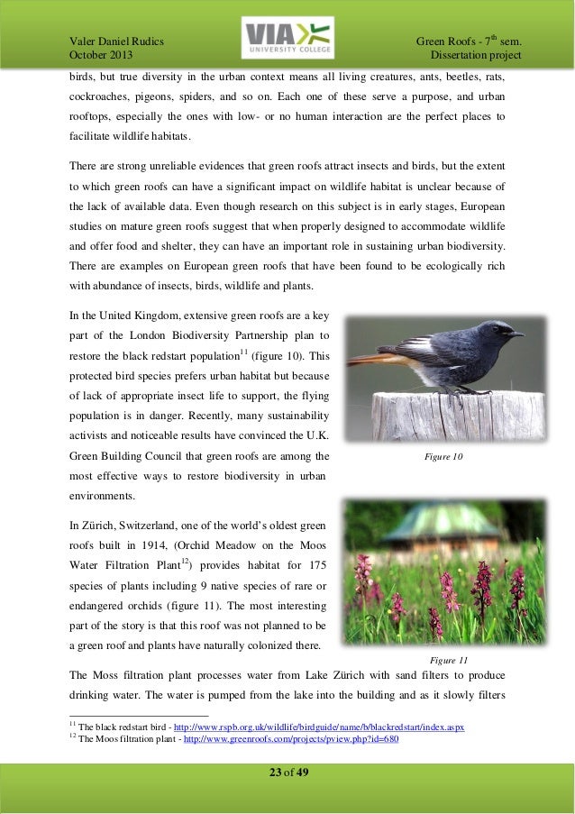 Green roof dissertation 02 picture