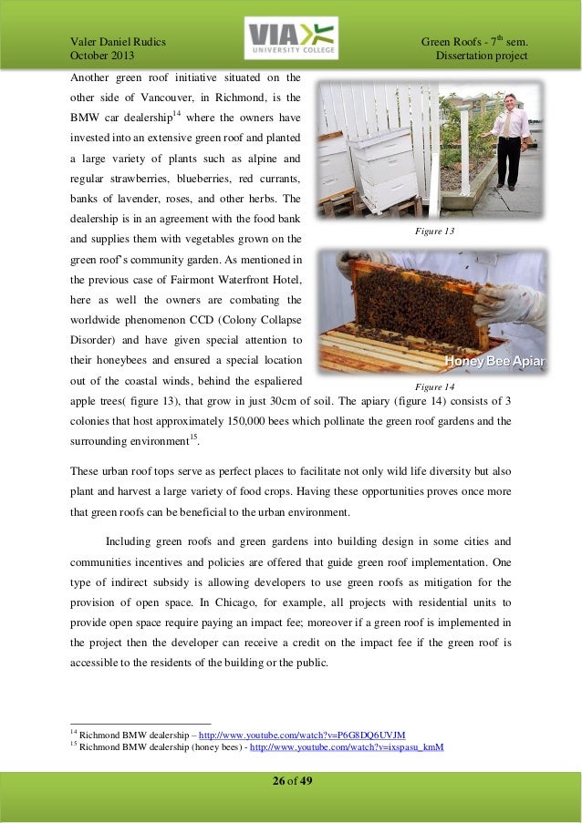 Green roof dissertation 03 picture