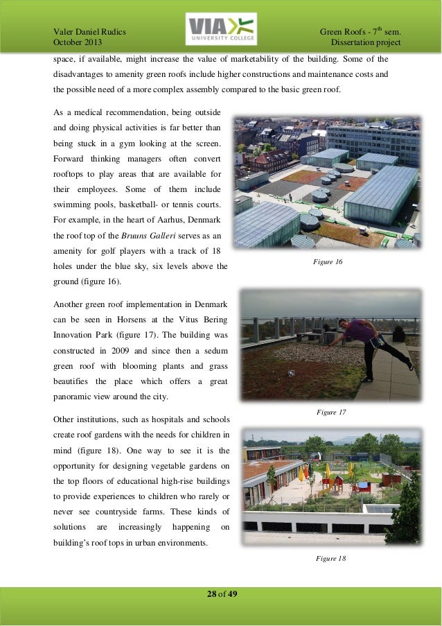 Green roof dissertation 08 picture