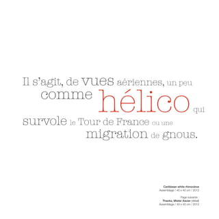 Il s’agit, de vues aériennes, un peu
   comme
                hélico
survole le Tour de France ou une
                                                       qui


            migration de gnous.


                               Caribbean white rhinocéros
                            Assemblage / 40 x 40 cm / 2012

                                            Page suivante :
                              Thanks, Mister Xavier (détail)
                            Assemblage / 40 x 40 cm / 2012
 