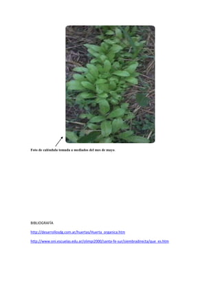 Foto de caléndula tomada a mediados del mes de mayo.
BIBLIOGRAFÍA
http://desarrollosdg.com.ar/huertas/Huerta_organica.htm
http://www.oni.escuelas.edu.ar/olimpi2000/santa-fe-sur/siembradirecta/que_es.htm
 