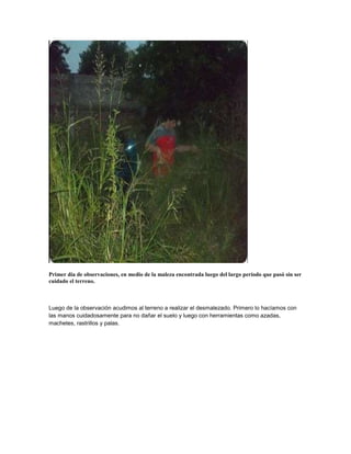 Primer día de observaciones, en medio de la maleza encontrada luego del largo período que pasó sin ser
cuidado el terreno.
Luego de la observación acudimos al terreno a realizar el desmalezado. Primero lo hacíamos con
las manos cuidadosamente para no dañar el suelo y luego con herramientas como azadas,
machetes, rastrillos y palas.
 