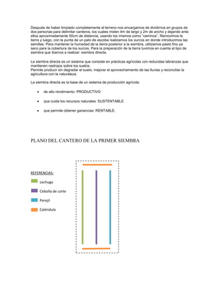 Después de haber limpiado completamente el terreno nos encargamos de dividirnos en grupos de
dos personas para delimitar canteros, los cuales miden 4m de largo y 2m de ancho y dejando ente
ellos aproximadamente 50cm de distancia, usando los mismos como ”caminos”. Removimos la
tierra y luego, con la punta de un palo de escoba realizamos los surcos en donde introducimos las
semillas. Para mantener la humedad de la tierra posterior a la siembra, utilizamos pasto fino ya
seco para la cobertura de los surcos. Para la preparación de la tierra tuvimos en cuenta el tipo de
siembra que íbamos a realizar: siembra directa.
La siembra directa es un sistema que consiste en prácticas agrícolas con reducidas labranzas que
mantienen rastrojos sobre los suelos.
Permite producir sin degradar el suelo, mejorar el aprovechamiento de las lluvias y reconciliar la
agricultura con la naturaleza.
La siembra directa es la base de un sistema de producción agrícola:
de alto rendimiento: PRODUCTIVO
que cuida los recursos naturales: SUSTENTABLE
que permite obtener ganancias: RENTABLE.
PLANO DEL CANTERO DE LA PRIMER SIEMBRA
REFERENCIAS:
Lechuga
Cebolla de corte
Perejil
Caléndula
 