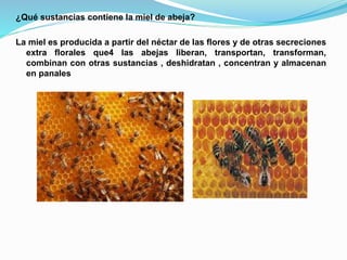 ¿Qué sustancias contiene la miel de abeja?
La miel es producida a partir del néctar de las flores y de otras secreciones
extra florales que4 las abejas liberan, transportan, transforman,
combinan con otras sustancias , deshidratan , concentran y almacenan
en panales
 