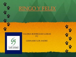 RINGO Y FELIX 
VALERIA RODRIGUEZ LLERAS 
3ºC 
GIMNASIO LOS ANDES 
 