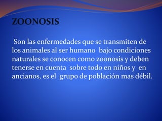 ZOONOSIS
Son las enfermedades que se transmiten de
los animales al ser humano bajo condiciones
naturales se conocen como zoonosis y deben
tenerse en cuenta sobre todo en niños y en
ancianos, es el grupo de población mas débil.
 