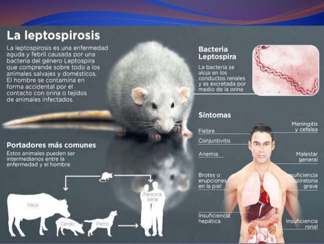 Zoonosis
