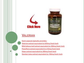 Valerian Each capsule typically provides: Valerian extract equivalent to 625mg fresh herb  Wild lettuce leaf extract equivalent to 500mg fresh herb  Passiflora extract equivalent to 210mg fresh herb  Hops extract equivalent to 200mg fresh herb  Gentian lutea extract equivalent to 180mg fresh herb 