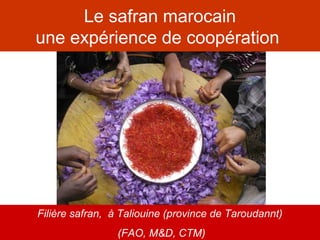 Le safran marocain
une expérience de coopération
Filière safran, à Taliouine (province de Taroudannt)
(FAO, M&D, CTM)
 