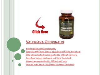 ValerianaOfficinalis Each capsule typically provides: ValerianaOfficinalis extract equivalent to 625mg fresh herb  Wild lettuce leaf extract equivalent to 500mg fresh herb  Passiflora extract equivalent to 210mg fresh herb  Hops extract equivalent to 200mg fresh herb  Gentian lutea extract equivalent to 180mg fresh herb 