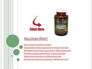 Valerian Root Each capsule typically provides: Valerian Root extract equivalent to 625mg fresh herb  Wild lettuce leaf extract equivalent to 500mg fresh herb  Passiflora extract equivalent to 210mg fresh herb  Hops extract equivalent to 200mg fresh herb  Gentian lutea extract equivalent to 180mg fresh herb 
