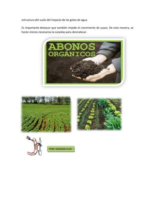 estructura del suelo del impacto de las gotas de agua.

Es importante destacar que también impide el crecimiento de yuyos. De esta manera, se
harán menos necesarias la carpidas para desmalezar.




                      POR: EDISSON CUVI
 