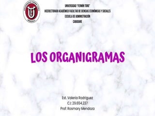 Los Organigramas - Valeria_Rodriguez_UFT