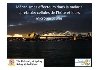 Mécanismes effecteurs dans la malaria
 cerebrale: cellules de l’hôte et leurs
           microparticules




          Valéry Combes, PhD
 