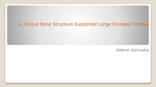 A Unique Bone Structure Supported Large Dinosaur Frames
Valerie Varnuska
 