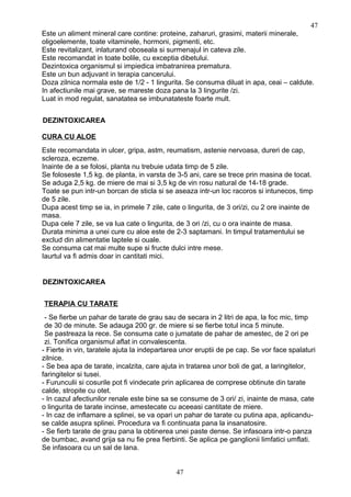 Este un aliment mineral care contine: proteine, zaharuri, grasimi, materii minerale,
oligoelemente, toate vitaminele, hormoni, pigmenti, etc.
Este revitalizant, inlaturand oboseala si surmenajul in cateva zile.
Este recomandat in toate bolile, cu exceptia dibetului.
Dezintoxica organismul si impiedica imbatranirea prematura.
Este un bun adjuvant in terapia cancerului.
Doza zilnica normala este de 1/2 - 1 lingurita. Se consuma diluat in apa, ceai – caldute.
In afectiunile mai grave, se mareste doza pana la 3 lingurite /zi.
Luat in mod regulat, sanatatea se imbunatateste foarte mult.
DEZINTOXICAREA
CURA CU ALOE
Este recomandata in ulcer, gripa, astm, reumatism, astenie nervoasa, dureri de cap,
scleroza, eczeme.
Inainte de a se folosi, planta nu trebuie udata timp de 5 zile.
Se foloseste 1,5 kg. de planta, in varsta de 3-5 ani, care se trece prin masina de tocat.
Se aduga 2,5 kg. de miere de mai si 3,5 kg de vin rosu natural de 14-18 grade.
Toate se pun intr-un borcan de sticla si se aseaza intr-un loc racoros si intunecos, timp
de 5 zile.
Dupa acest timp se ia, in primele 7 zile, cate o lingurita, de 3 ori/zi, cu 2 ore inainte de
masa.
Dupa cele 7 zile, se va lua cate o lingurita, de 3 ori /zi, cu o ora inainte de masa.
Durata minima a unei cure cu aloe este de 2-3 saptamani. In timpul tratamentului se
exclud din alimentatie laptele si ouale.
Se consuma cat mai multe supe si fructe dulci intre mese.
Iaurtul va fi admis doar in cantitati mici.
DEZINTOXICAREA
TERAPIA CU TARATE
- Se fierbe un pahar de tarate de grau sau de secara in 2 litri de apa, la foc mic, timp
de 30 de minute. Se adauga 200 gr. de miere si se fierbe totul inca 5 minute.
Se pastreaza la rece. Se consuma cate o jumatate de pahar de amestec, de 2 ori pe
zi. Tonifica organismul aflat in convalescenta.
- Fierte in vin, taratele ajuta la indepartarea unor eruptii de pe cap. Se vor face spalaturi
zilnice.
- Se bea apa de tarate, incalzita, care ajuta in tratarea unor boli de gat, a laringitelor,
faringitelor si tusei.
- Furunculii si cosurile pot fi vindecate prin aplicarea de comprese obtinute din tarate
calde, stropite cu otet.
- In cazul afectiunilor renale este bine sa se consume de 3 ori/ zi, inainte de masa, cate
o lingurita de tarate incinse, amestecate cu aceeasi cantitate de miere.
- In caz de inflamare a splinei, se va opari un pahar de tarate cu putina apa, aplicandu-
se calde asupra splinei. Procedura va fi continuata pana la insanatosire.
- Se fierb tarate de grau pana la obtinerea unei paste dense. Se infasoara intr-o panza
de bumbac, avand grija sa nu fie prea fierbinti. Se aplica pe ganglionii limfatici umflati.
Se infasoara cu un sal de lana.
47
47
 