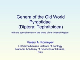 Genera of the Old World Pyrgotidae  (Diptera: Tephritoidea) with the special review of the fauna of the Oriental Region   Valery A. Korneyev I.I.Schmalhausen Institute of Zoology National Academy of Sciences of Ukraine, Kiev 