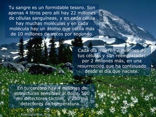 Tu sangre es un formidable tesoro. Son apenas 4 litros pero allí hay 22 millones de células sanguíneas, y en cada célula hay muchas moléculas y en cada molécula hay un átomo que oscila más de 10 millones de veces por segundo. Cada día mueren 2 millones de tus células y son reemplazadas por 2 millones más, en una resurrección que ha continuado desde el día que naciste. En tu cerebro hay 4 millones de estructuras sensibles al dolor, 500 mil detectores táctiles, y 200 mil detectores de temperatura... AvanzaPorMas.com 