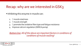 Recap: why are we interested in GSK3
 Inhibiting this enzyme in muscle can:
1. ↑ muscle size/mass
2. ↑ muscle strength
3....