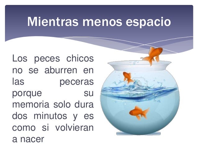 Resultado de imagen de curiosidades del mundo