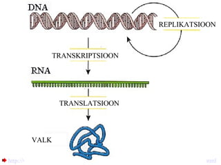 http://www.teachersdomain.org/resources/tdc02/sci/life/gen/proteinsynth/index.html   REPLIKATSIOON TRANSKRIPTSIOON TRANSLATSIOON VALK 