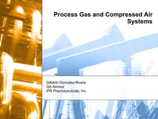 Process Gas and Compressed Air Systems Gilberto Gonzalez-Rivera QA Advisor IPR Pharmaceuticals, Inc. 