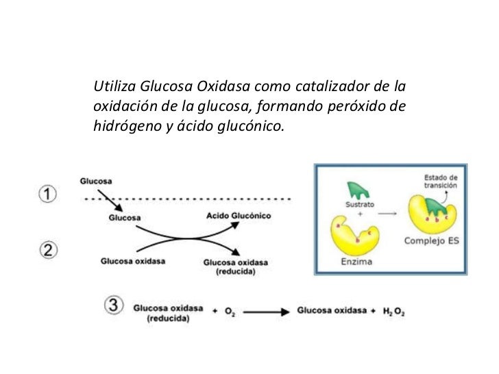 Validación y verificación de exámenes de laboratorio clínico Validación y verificación de exámenes de laboratorio clínico