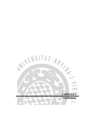 CAPÍTULO 5
Conclusiones
 