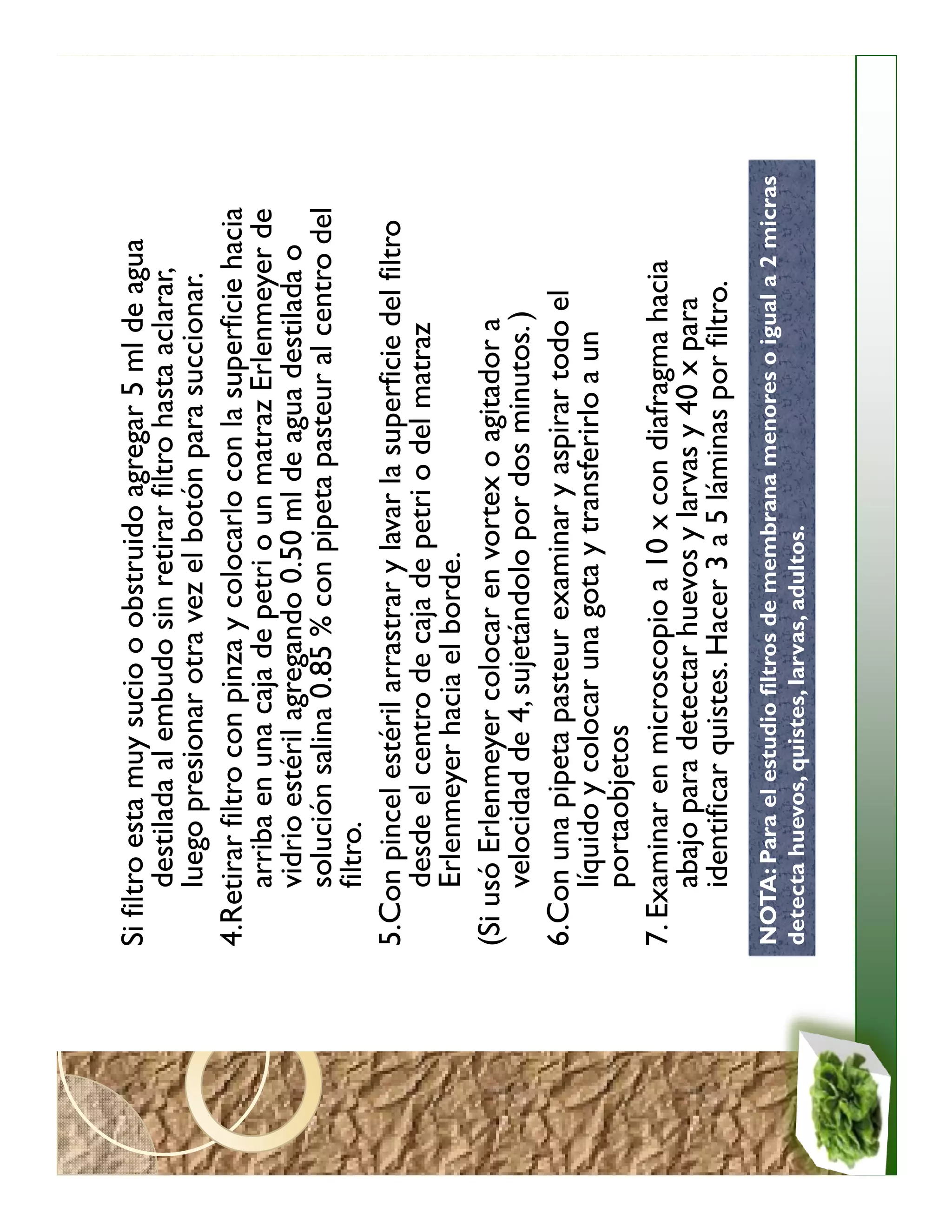 Si filtro esta muy sucio o obstruido agregar 5 ml de agua
       destilada al embudo sin retirar filtro hasta aclarar,
       luego presionar otra vez el botón para succionar.
4.Retirar filtro con pinza y colocarlo con la superficie hacia
       arriba en una caja de petri o un matraz Erlenmeyer de
       vidrio estéril agregando 0.50 ml de agua destilada o
       solución salina 0.85 % con pipeta pasteur al centro del
       filtro.
5.Con pincel estéril arrastrar y lavar la superficie del filtro
       desde el centro de caja de petri o del matraz
       Erlenmeyer hacia el borde.
(Si usó Erlenmeyer colocar en vortex o agitador a
       velocidad de 4, sujetándolo por dos minutos. )
6.Con una pipeta pasteur examinar y aspirar todo el
       líquido y colocar una gota y transferirlo a un
       portaobjetos
7. Examinar en microscopio a 10 x con diafragma hacia
       abajo para detectar huevos y larvas y 40 x para
       identificar quistes. Hacer 3 a 5 láminas por filtro.
NOTA: Para el estudio filtros de membrana menores o igual a 2 micras
detecta huevos, quistes, larvas, adultos.
 