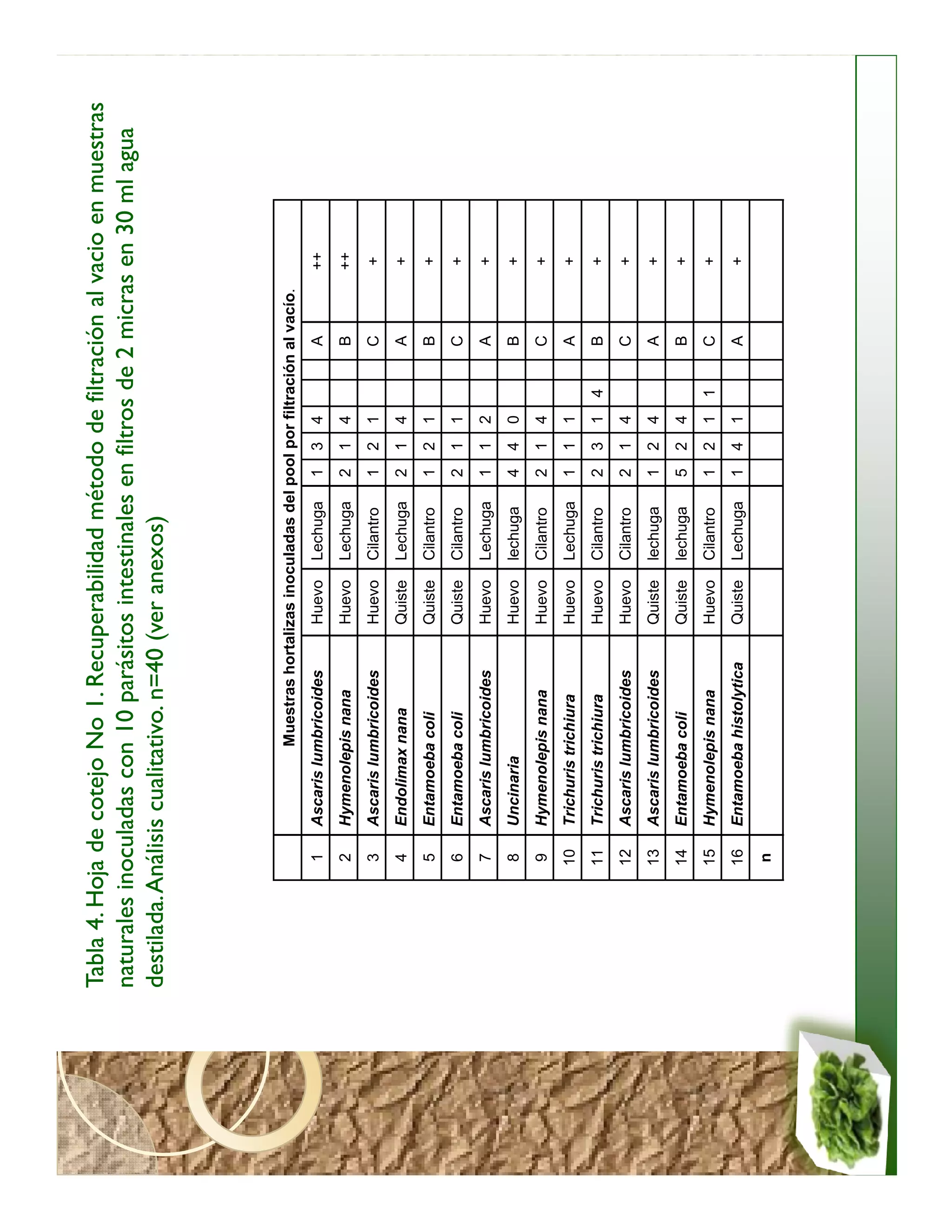Tabla 4. Hoja de cotejo No 1. Recuperabilidad método de filtración al vacio en muestras
naturales inoculadas con 10 parásitos intestinales en filtros de 2 micras en 30 ml agua
destilada. Análisis cualitativo. n=40 (ver anexos)




                            Muestras hortalizas inoculadas del pool por filtración al vacío.
            1   Ascaris lumbricoides         Huevo    Lechuga    1   3   4         A           ++
            2   Hymenolepis nana             Huevo    Lechuga    2   1   4         B           ++
            3   Ascaris lumbricoides         Huevo    Cilantro   1   2   1         C           +
            4   Endolimax nana               Quiste   Lechuga    2   1   4         A           +
            5   Entamoeba coli               Quiste   Cilantro   1   2   1         B           +
            6   Entamoeba coli               Quiste   Cilantro   2   1   1         C           +
            7   Ascaris lumbricoides         Huevo    Lechuga    1   1   2         A           +
            8   Uncinaria                    Huevo    lechuga    4   4   0         B           +
            9   Hymenolepis nana             Huevo    Cilantro   2   1   4         C           +
           10   Trichuris trichiura          Huevo    Lechuga    1   1   1         A           +
           11   Trichuris trichiura          Huevo    Cilantro   2   3   1   4     B           +
           12   Ascaris lumbricoides         Huevo    Cilantro   2   1   4         C           +
           13   Ascaris lumbricoides         Quiste   lechuga    1   2   4         A           +
           14   Entamoeba coli               Quiste   lechuga    5   2   4         B           +
           15   Hymenolepis nana             Huevo    Cilantro   1   2   1   1     C           +
           16   Entamoeba histolytica        Quiste   Lechuga    1   4   1         A           +
            n
 