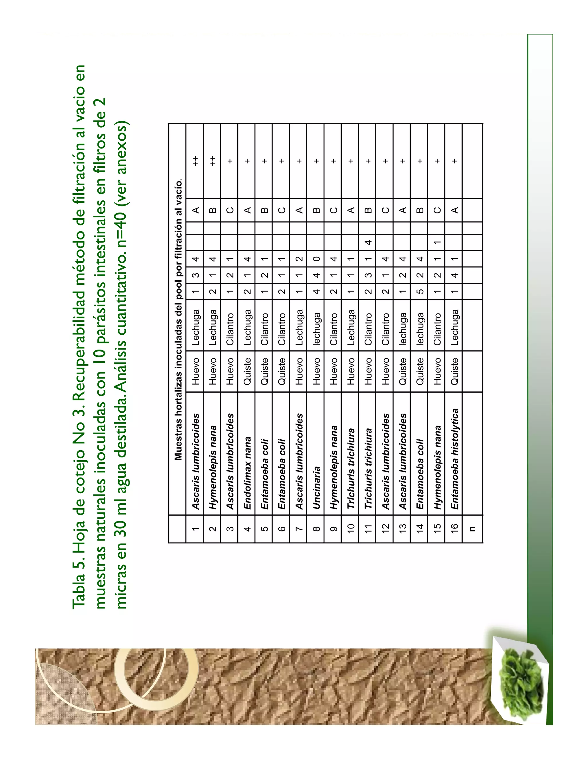 Tabla 5. Hoja de cotejo No 3. Recuperabilidad método de filtración al vacio en
muestras naturales inoculadas con 10 parásitos intestinales en filtros de 2
micras en 30 ml agua destilada. Análisis cuantitativo. n=40 (ver anexos)


                           Muestras hortalizas inoculadas del pool por filtración al vacío.
           1   Ascaris lumbricoides         Huevo    Lechuga    1   3   4         A           ++
           2   Hymenolepis nana             Huevo    Lechuga    2   1   4         B           ++
           3   Ascaris lumbricoides         Huevo    Cilantro   1   2   1         C           +
           4   Endolimax nana               Quiste   Lechuga    2   1   4         A           +
           5   Entamoeba coli               Quiste   Cilantro   1   2   1         B           +
           6   Entamoeba coli               Quiste   Cilantro   2   1   1         C           +
           7   Ascaris lumbricoides         Huevo    Lechuga    1   1   2         A           +
           8   Uncinaria                    Huevo    lechuga    4   4   0         B           +
           9   Hymenolepis nana             Huevo    Cilantro   2   1   4         C           +
          10   Trichuris trichiura          Huevo    Lechuga    1   1   1         A           +
          11   Trichuris trichiura          Huevo    Cilantro   2   3   1   4     B           +
          12   Ascaris lumbricoides         Huevo    Cilantro   2   1   4         C           +
          13   Ascaris lumbricoides         Quiste   lechuga    1   2   4         A           +
          14   Entamoeba coli               Quiste   lechuga    5   2   4         B           +
          15   Hymenolepis nana             Huevo    Cilantro   1   2   1   1     C           +
          16   Entamoeba histolytica        Quiste   Lechuga    1   4   1         A           +
           n
 