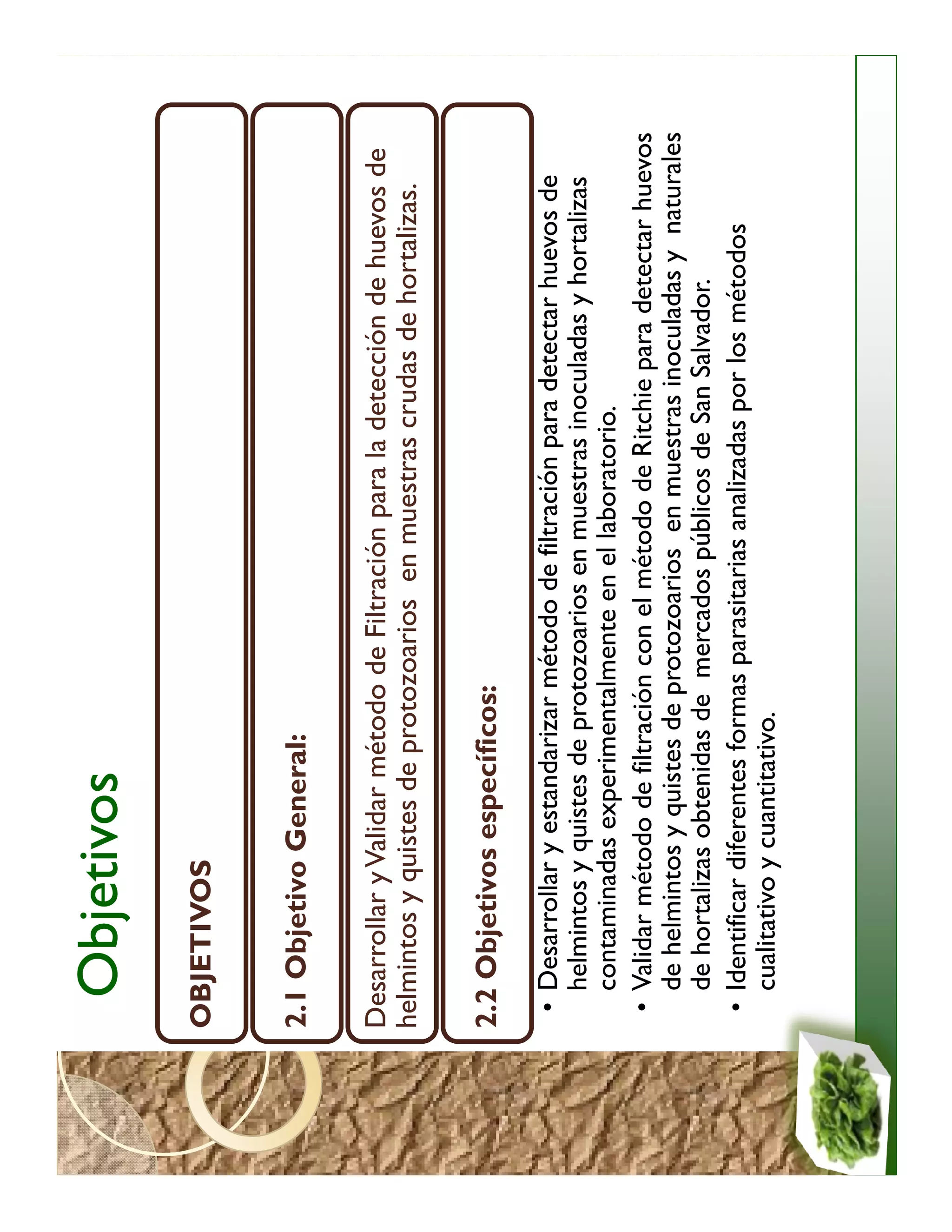 Objetivos
OBJETIVOS


2.1 Objetivo General:

Desarrollar y Validar método de Filtración para la detección de huevos de
helmintos y quistes de protozoarios en muestras crudas de hortalizas.

2.2 Objetivos específicos:

 • Desarrollar y estandarizar método de filtración para detectar huevos de
   helmintos y quistes de protozoarios en muestras inoculadas y hortalizas
   contaminadas experimentalmente en el laboratorio.
 • Validar método de filtración con el método de Ritchie para detectar huevos
   de helmintos y quistes de protozoarios en muestras inoculadas y naturales
   de hortalizas obtenidas de mercados públicos de San Salvador.
 • Identificar diferentes formas parasitarias analizadas por los métodos
   cualitativo y cuantitativo.
 