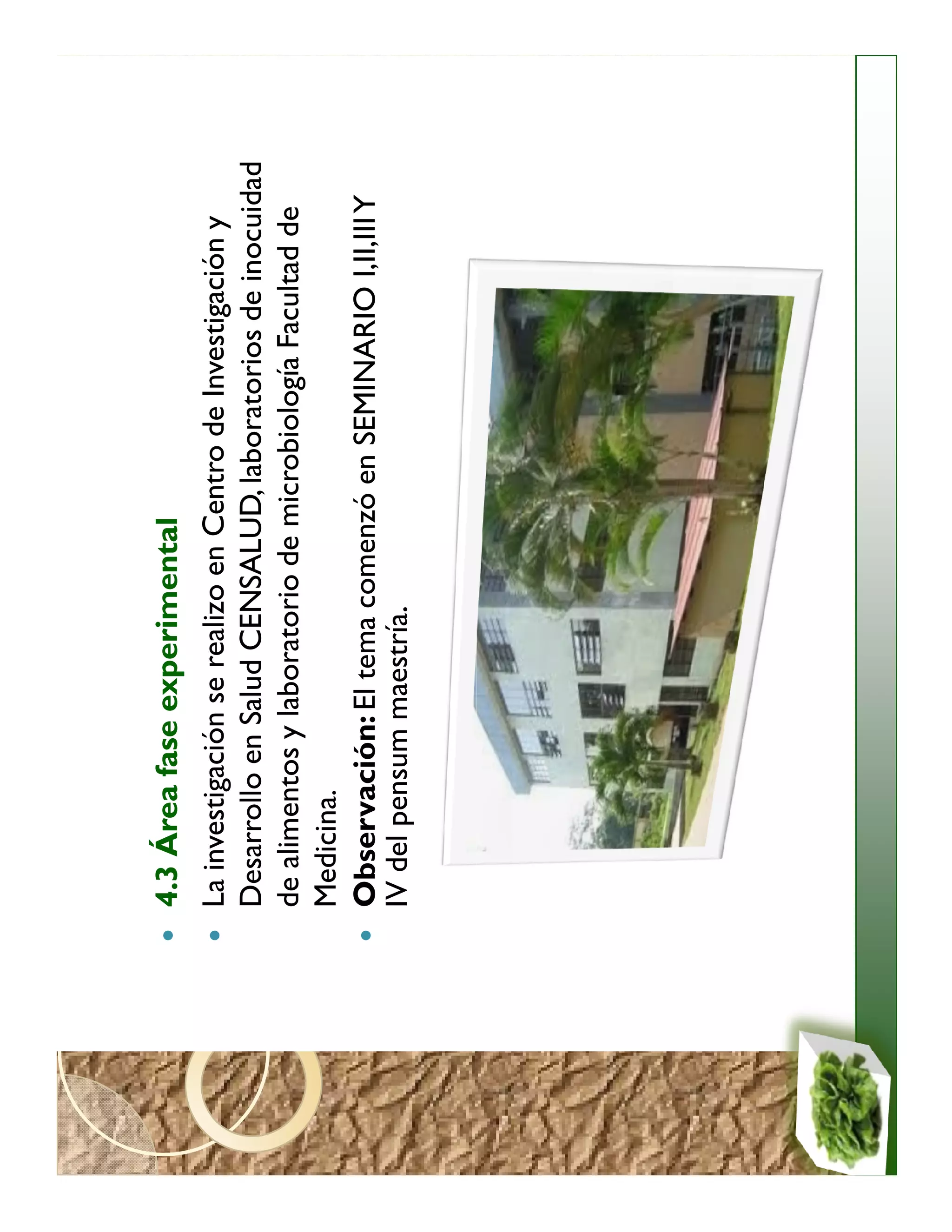 4.3 Área fase experimental
La investigación se realizo en Centro de Investigación y
Desarrollo en Salud CENSALUD, laboratorios de inocuidad
de alimentos y laboratorio de microbiología Facultad de
Medicina.
Observación: El tema comenzó en SEMINARIO I,II,III Y
IV del pensum maestría.
 