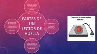 PARTES DE
UN
LECTOR DE
HUELLA
1.Cubierta: protege
los circuitos internos
y le da estética al
lector de huellas
digitales.
2.Ventana: es el
sensor que se
encarga de
determinar los
relieves del dedo.
3.Cable de datos: se
encarga de enviar la
información digital
de la huella hacia la
computadora.
4.Conector USB-
M: se conecta al
puerto USB de la
computadora,
suministra los datos
y alimenta al
dispositivo.
 